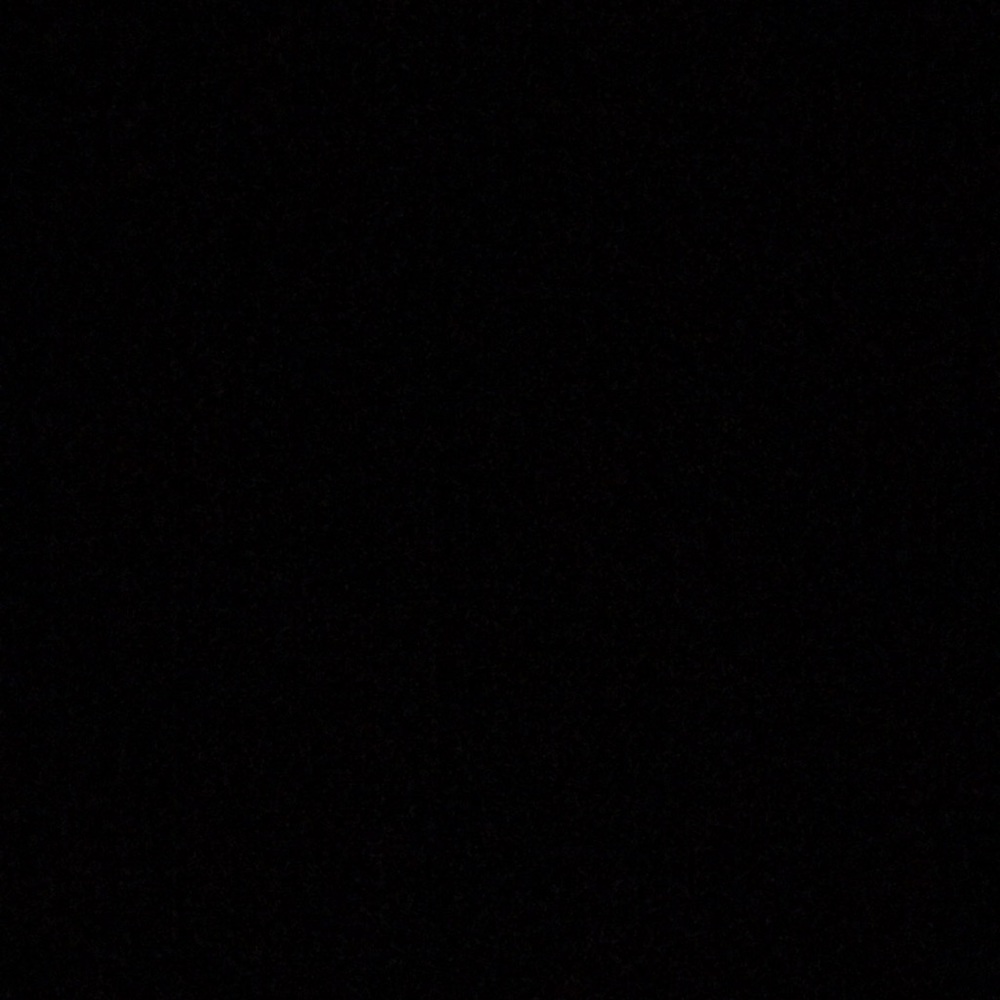 Pandora dog bone charm